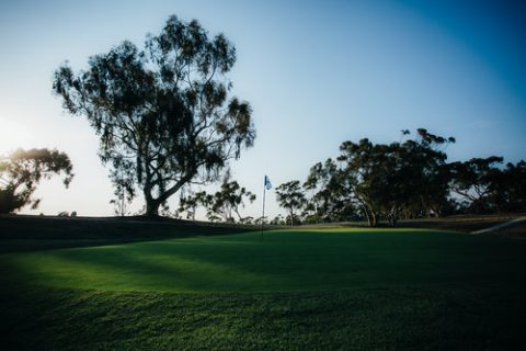Course Overview Goat Hill Park Golf Club